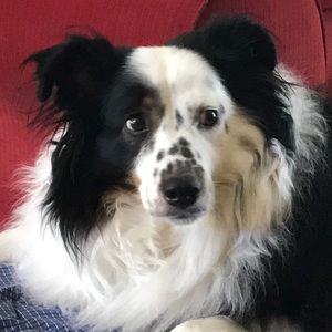 Meet your Posher, Tricia